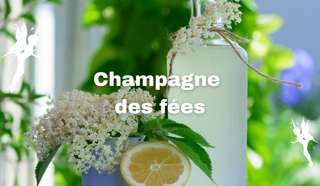 Champagne des fées